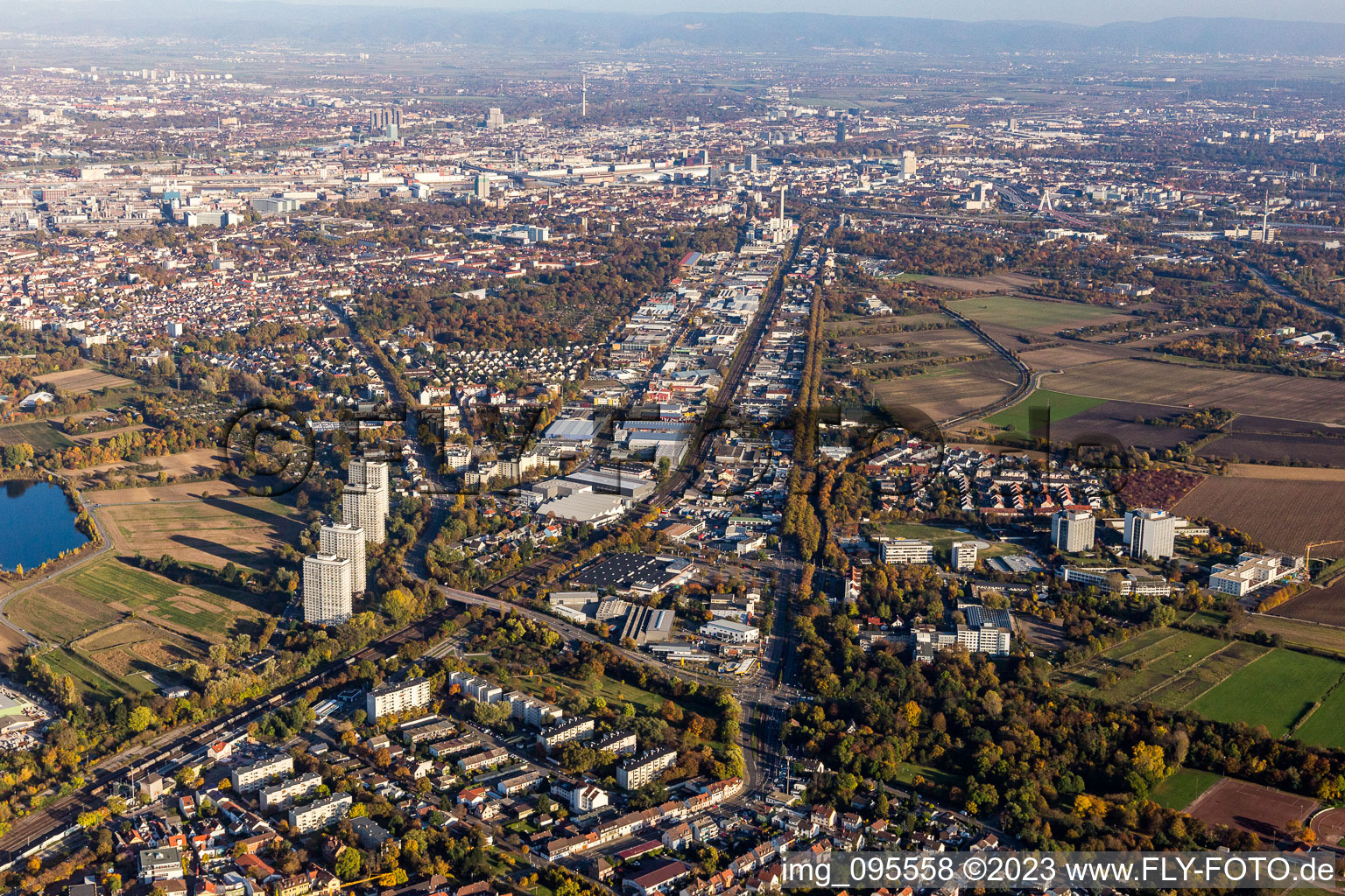 Vue aérienne de Industriestr à le quartier Friesenheim in Ludwigshafen am Rhein dans le département Rhénanie-Palatinat, Allemagne