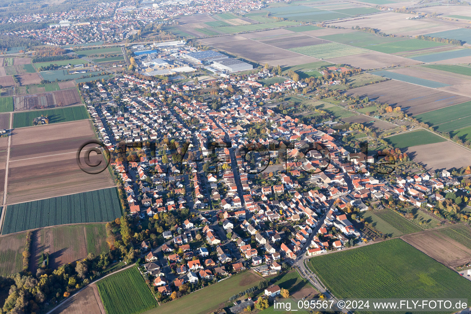 Vue aérienne de Champs agricoles et surfaces utilisables à Fußgönheim dans le département Rhénanie-Palatinat, Allemagne