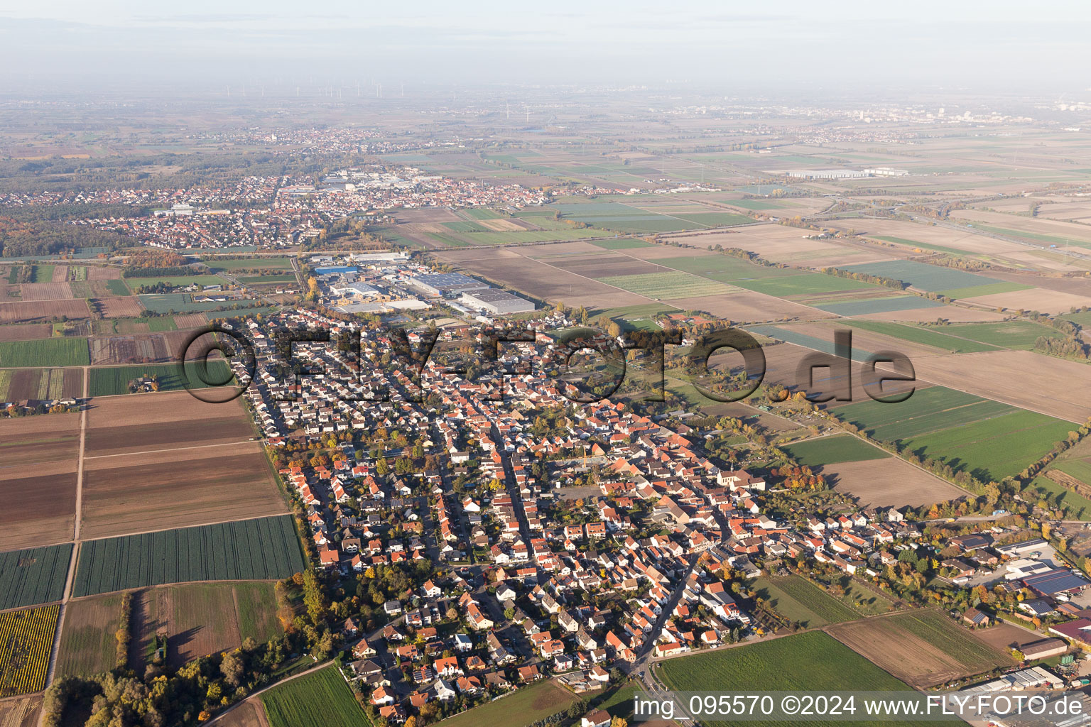 Vue d'oiseau de Fußgönheim dans le département Rhénanie-Palatinat, Allemagne