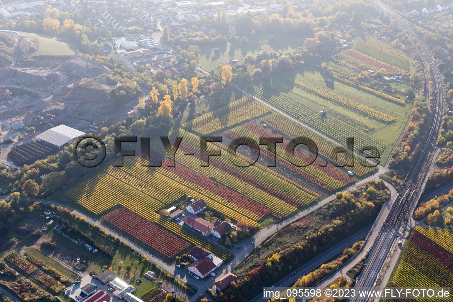 Vue aérienne de Gutsschänke Holzhof à Neustadt an der Weinstraße dans le département Rhénanie-Palatinat, Allemagne