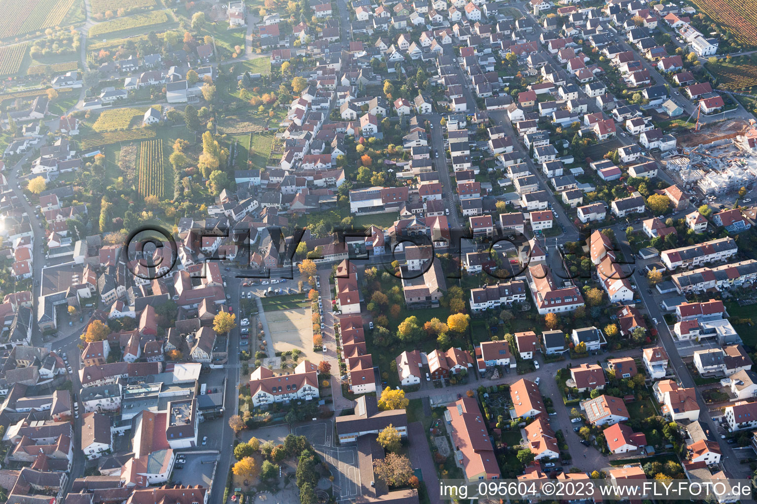 Quartier Diedesfeld in Neustadt an der Weinstraße dans le département Rhénanie-Palatinat, Allemagne hors des airs