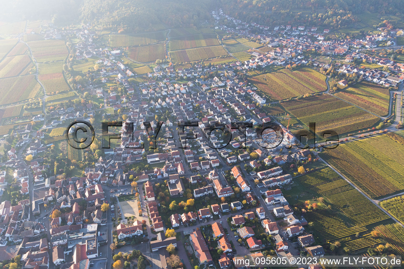 Quartier Diedesfeld in Neustadt an der Weinstraße dans le département Rhénanie-Palatinat, Allemagne vue d'en haut