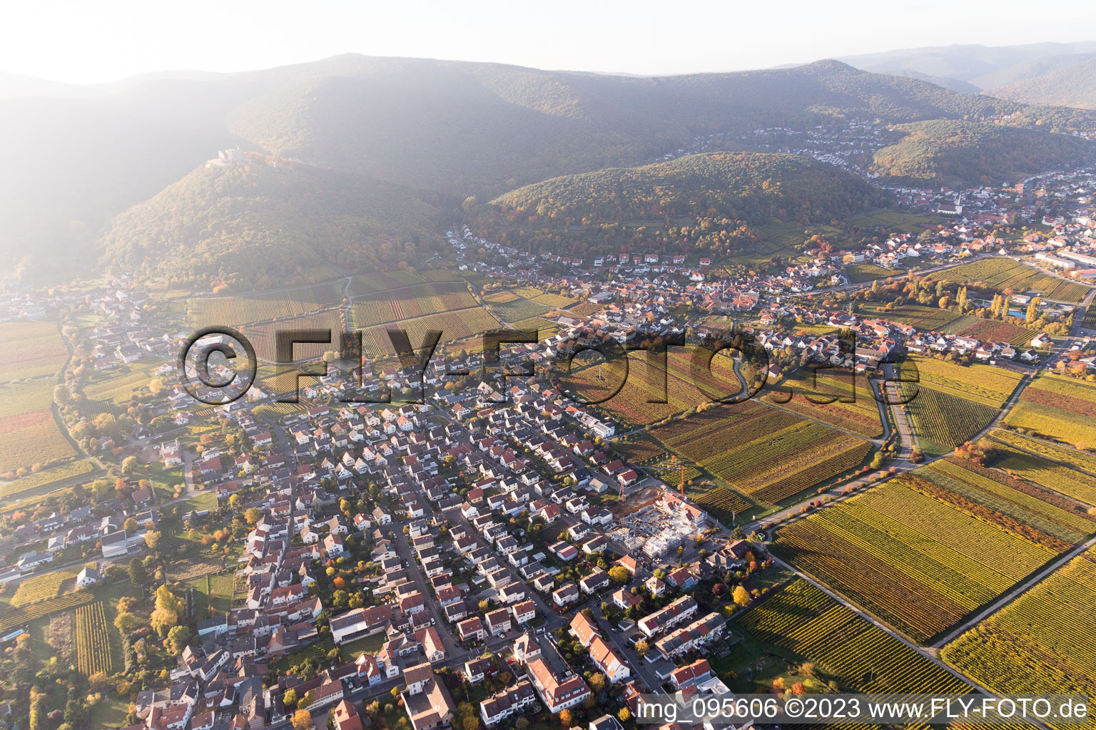 Quartier Diedesfeld in Neustadt an der Weinstraße dans le département Rhénanie-Palatinat, Allemagne depuis l'avion