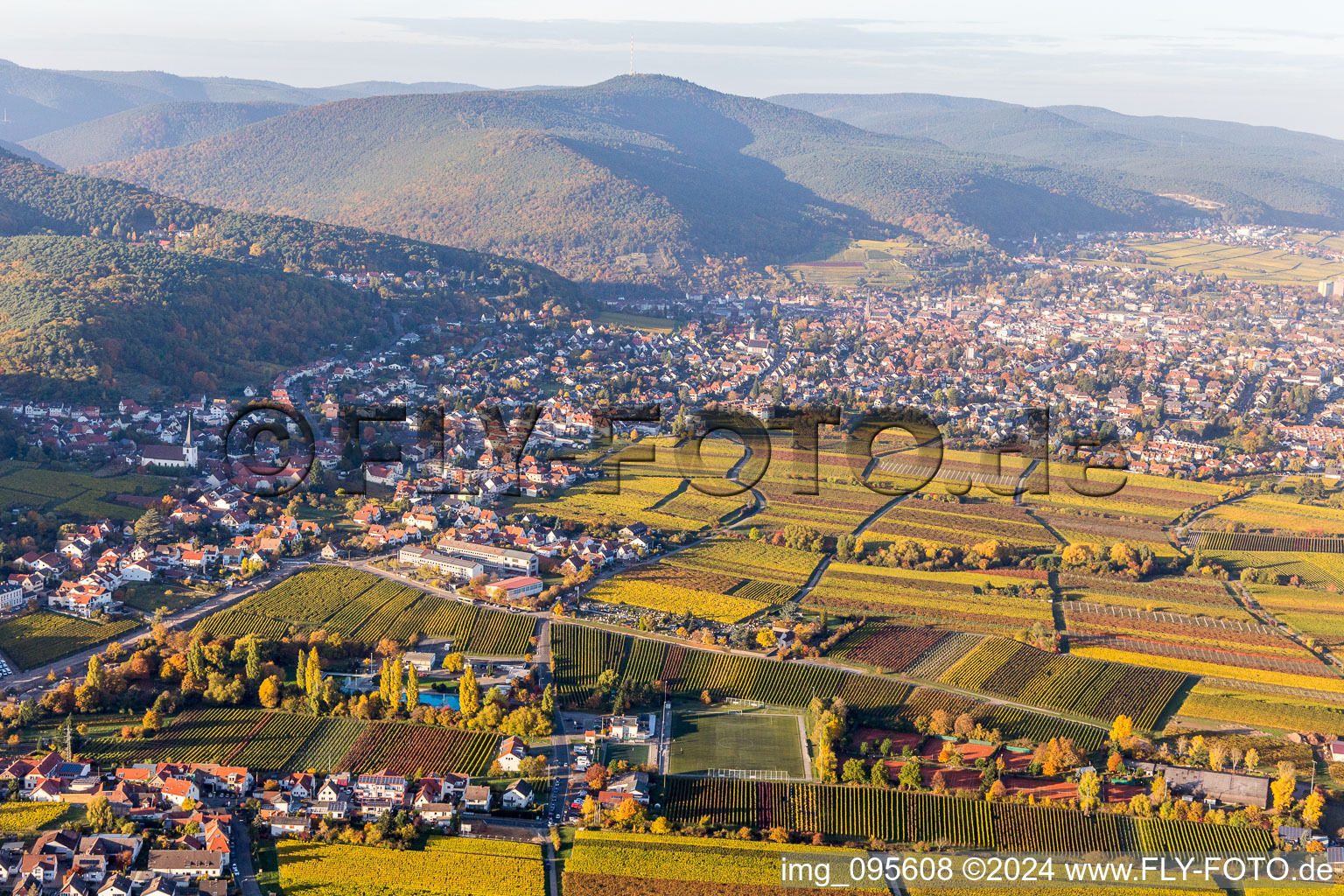 Vue aérienne de Vignobles dans le quartier de Hambach à le quartier Hambach an der Weinstraße in Neustadt an der Weinstraße dans le département Rhénanie-Palatinat, Allemagne