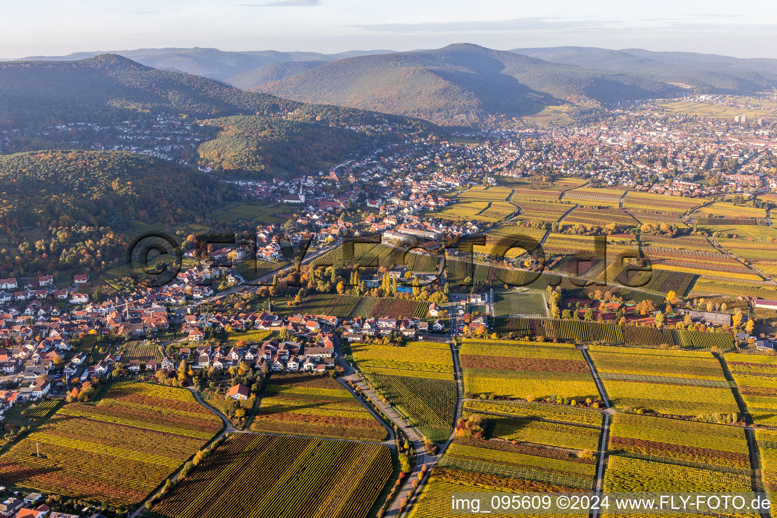 Vue aérienne de Vignobles dans le quartier de Hambach à le quartier Hambach an der Weinstraße in Neustadt an der Weinstraße dans le département Rhénanie-Palatinat, Allemagne