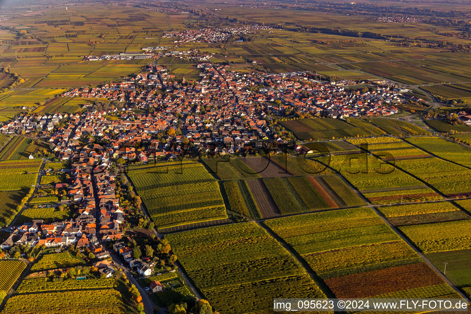 Maikammer dans le département Rhénanie-Palatinat, Allemagne depuis l'avion