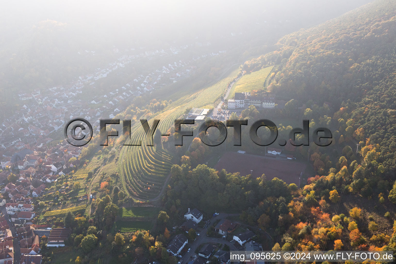 Vue oblique de Sankt Martin dans le département Rhénanie-Palatinat, Allemagne