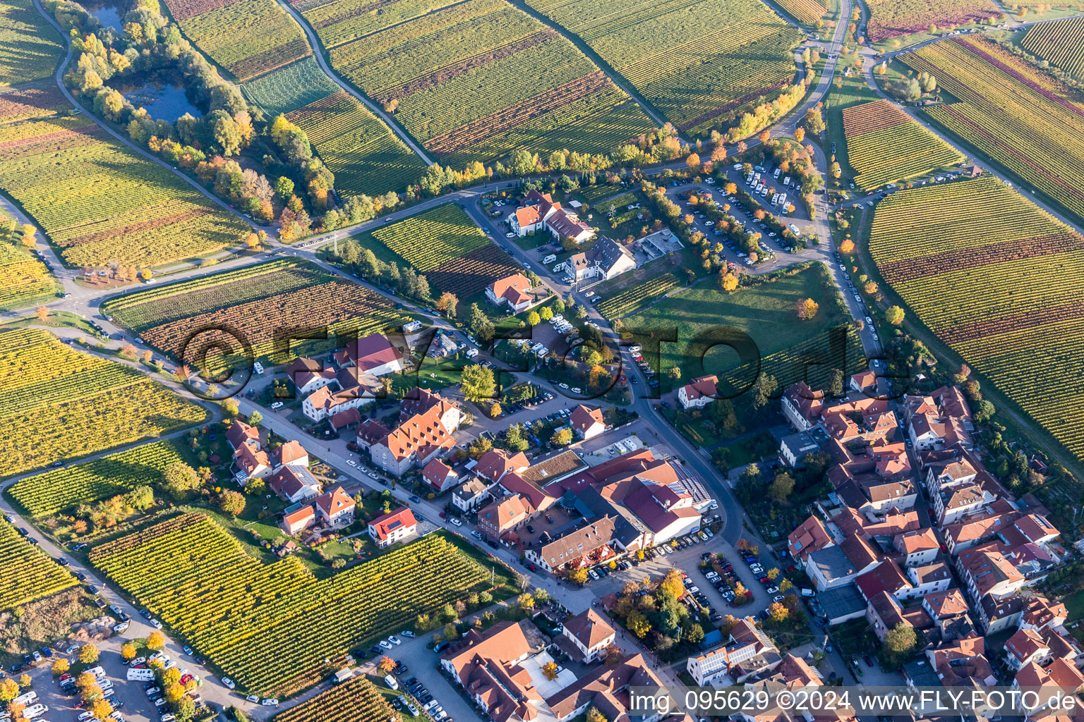 Vue aérienne de Andhaus Christmann - cave et distillerie à le quartier SaintMartin in Sankt Martin dans le département Rhénanie-Palatinat, Allemagne