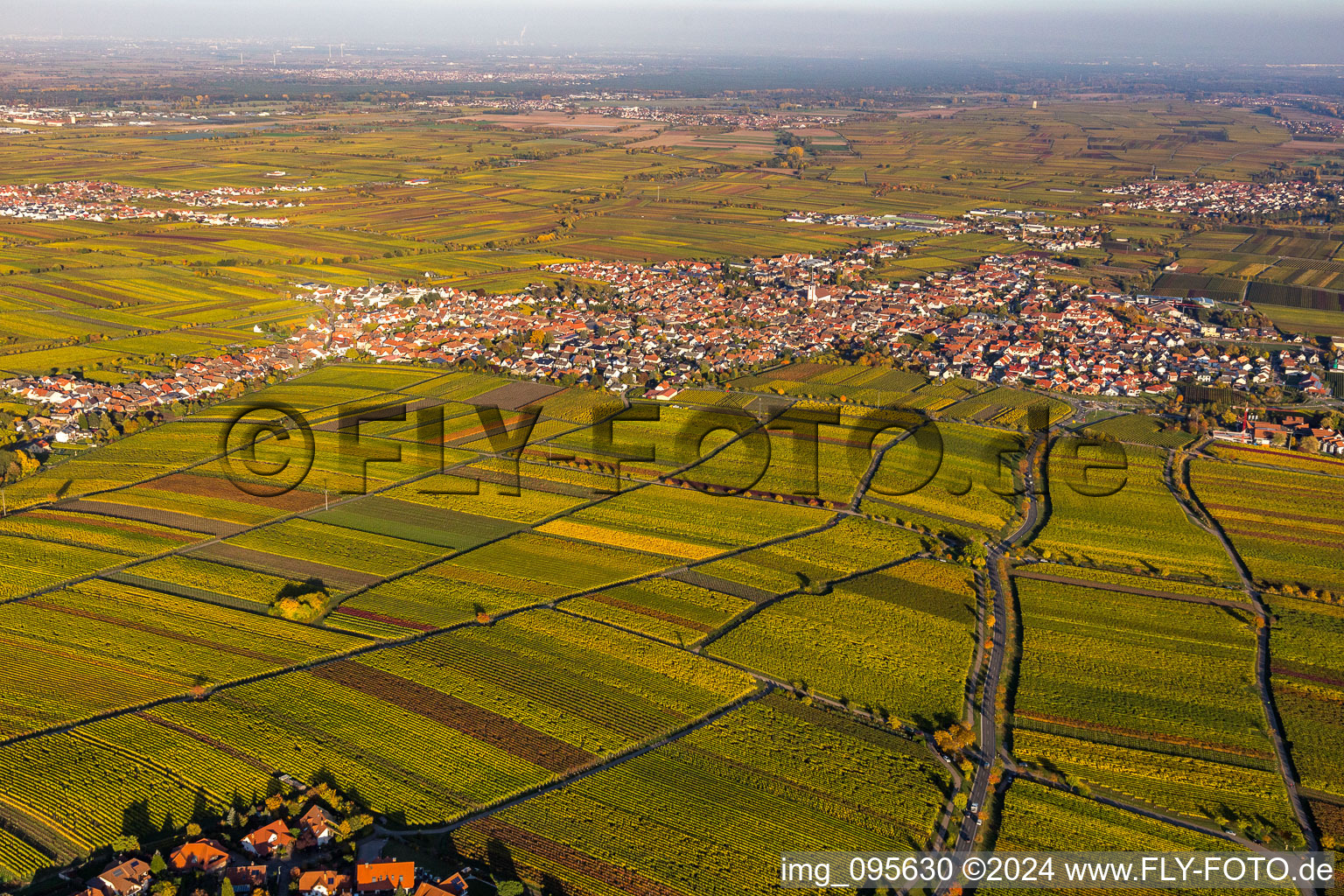 Vue d'oiseau de Maikammer dans le département Rhénanie-Palatinat, Allemagne