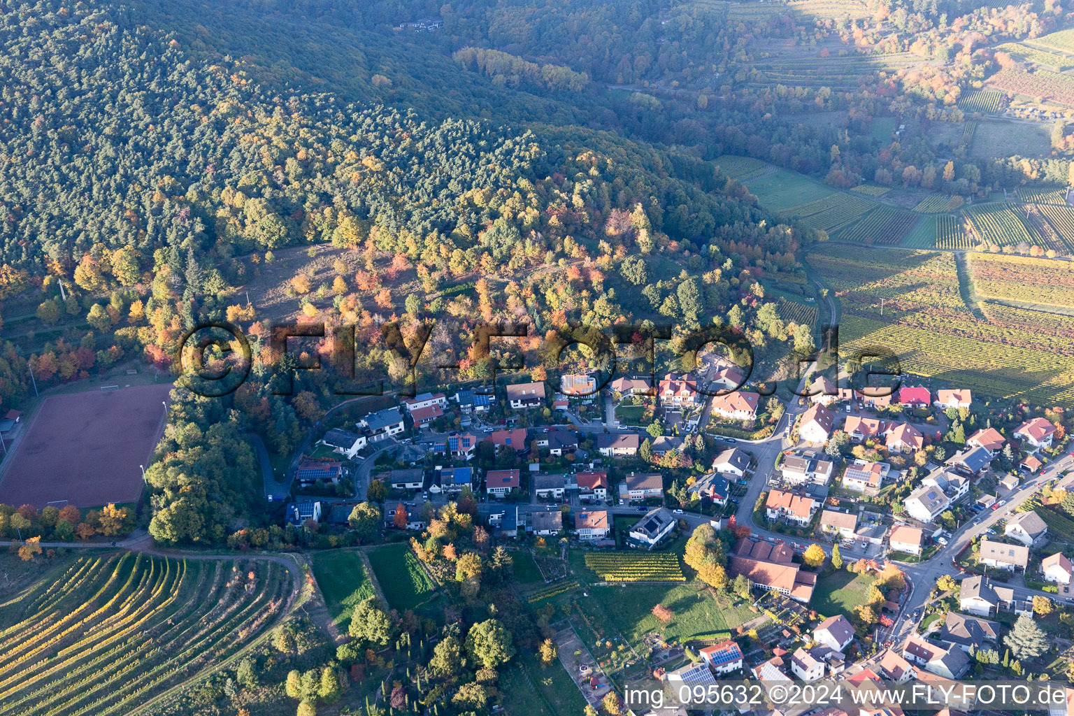 Sankt Martin dans le département Rhénanie-Palatinat, Allemagne vue d'en haut