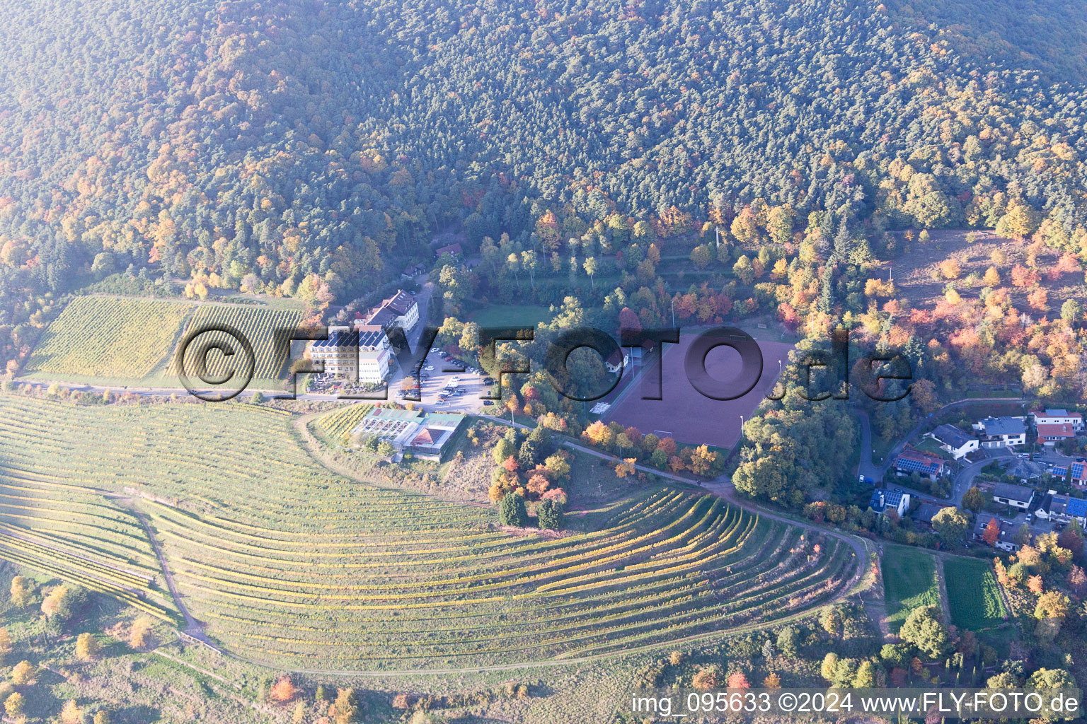 Sankt Martin dans le département Rhénanie-Palatinat, Allemagne depuis l'avion