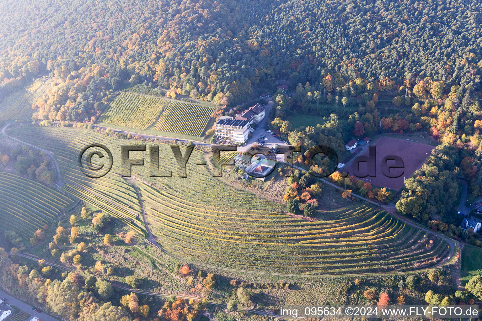 Vue d'oiseau de Sankt Martin dans le département Rhénanie-Palatinat, Allemagne