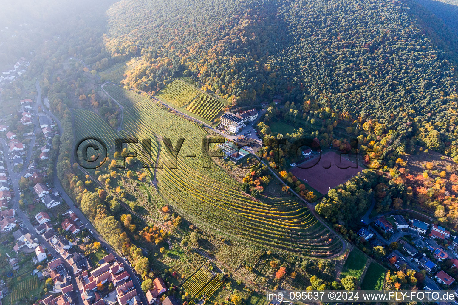 Vue aérienne de Maison sur le vignoble à le quartier SaintMartin in Sankt Martin dans le département Rhénanie-Palatinat, Allemagne