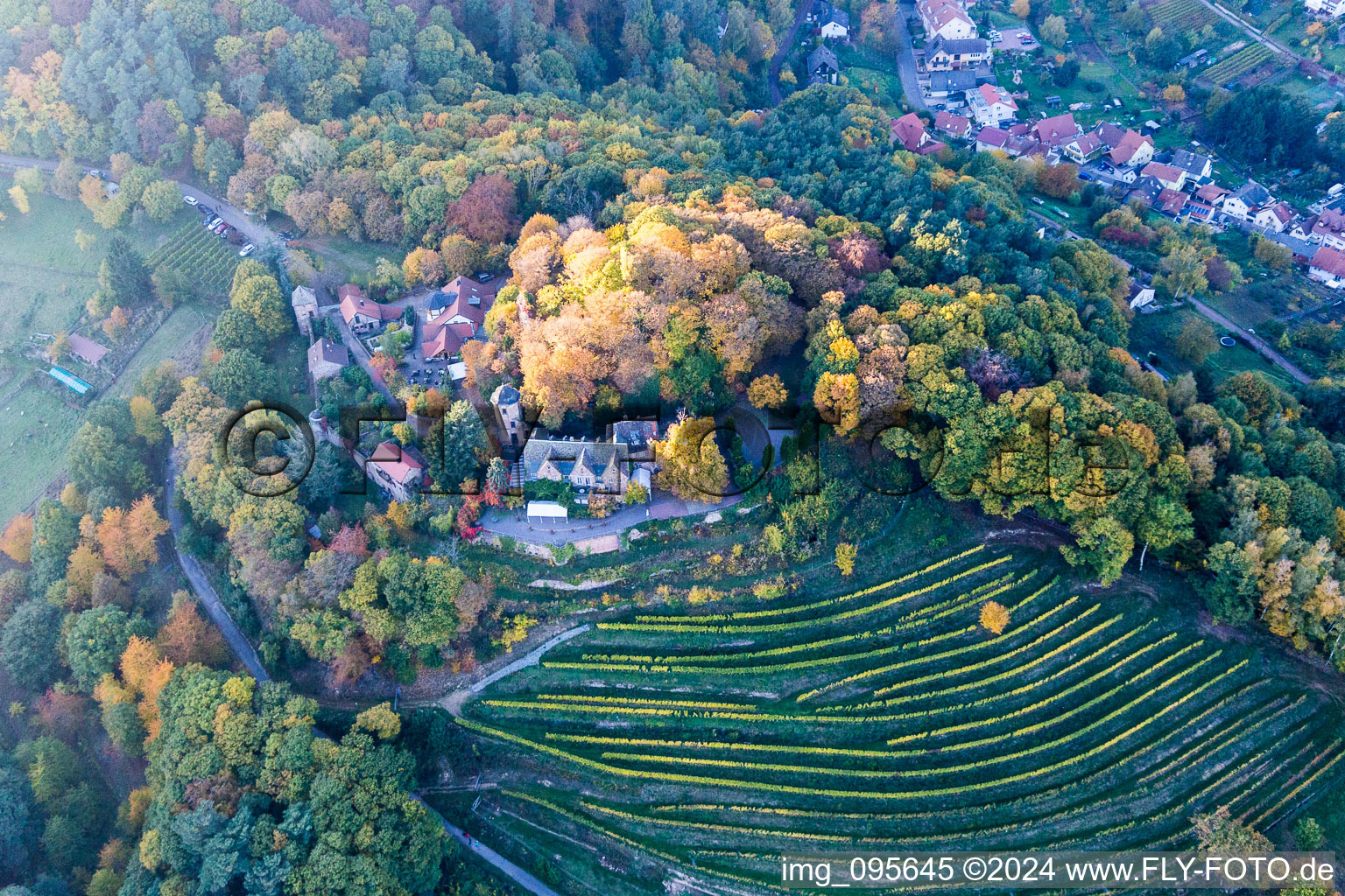 Vue aérienne de Restaurant Château de Kropsbourg à le quartier SaintMartin in Sankt Martin dans le département Rhénanie-Palatinat, Allemagne