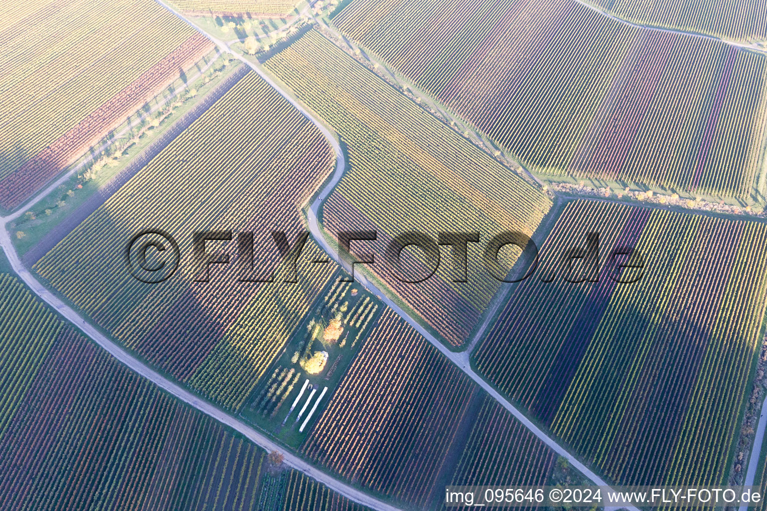 Image drone de Sankt Martin dans le département Rhénanie-Palatinat, Allemagne