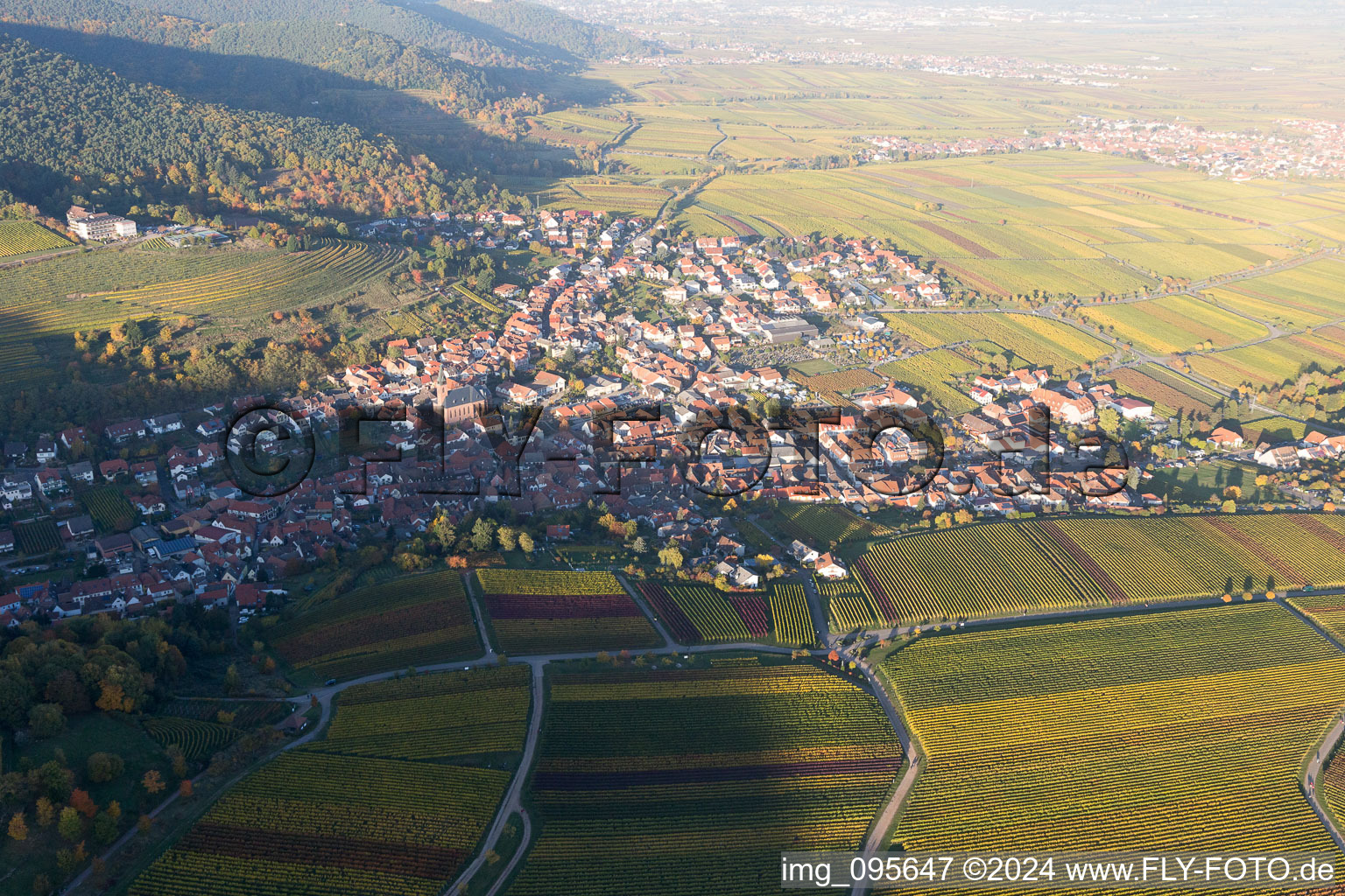 Sankt Martin dans le département Rhénanie-Palatinat, Allemagne du point de vue du drone