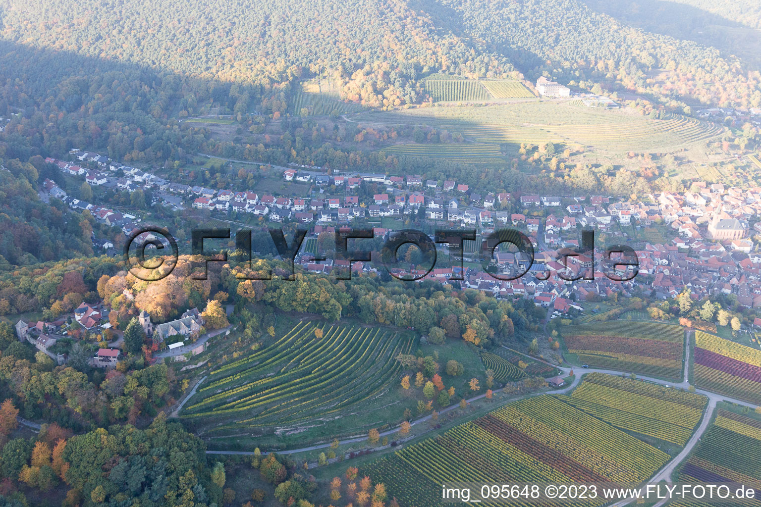 Sankt Martin dans le département Rhénanie-Palatinat, Allemagne d'un drone