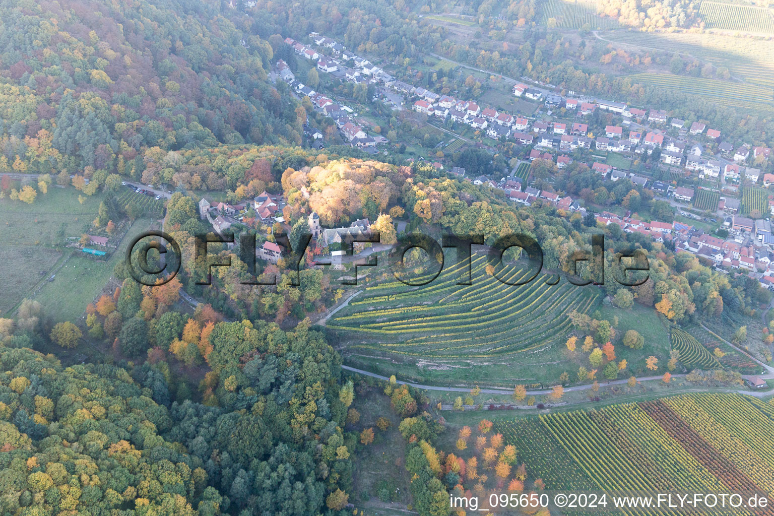 Vue aérienne de Sankt Martin dans le département Rhénanie-Palatinat, Allemagne