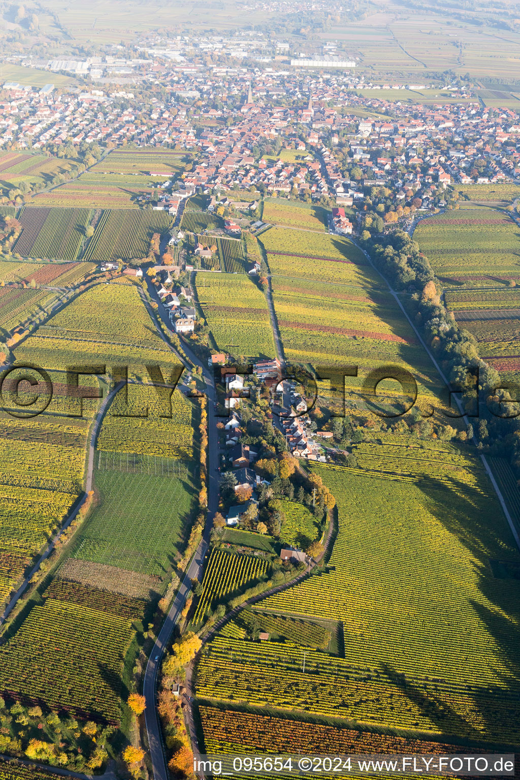 Vue aérienne de Paysage viticole des domaines viticoles de l'arrondissement d'habitation à Edenkoben dans le département Rhénanie-Palatinat, Allemagne