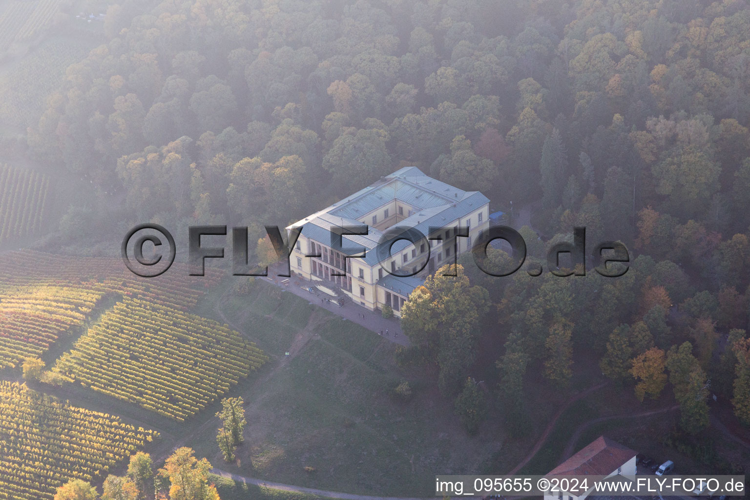 Vue aérienne de Château de la Villa Ludwigshöhe à Weyher in der Pfalz dans le département Rhénanie-Palatinat, Allemagne