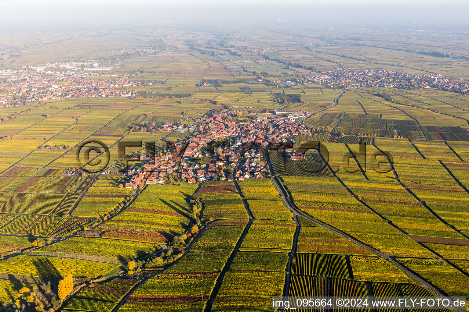 Vue aérienne de Des vignobles aux couleurs de l'automne à le quartier Rhodt in Rhodt unter Rietburg dans le département Rhénanie-Palatinat, Allemagne