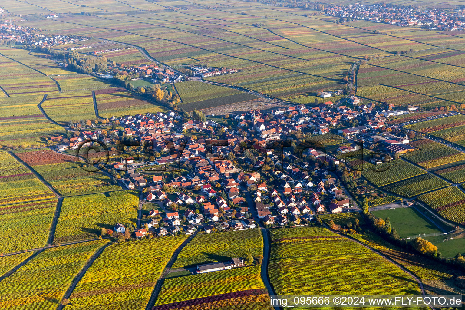 Vue aérienne de Vignobles aux couleurs d'automne à Hainfeld dans le département Rhénanie-Palatinat, Allemagne