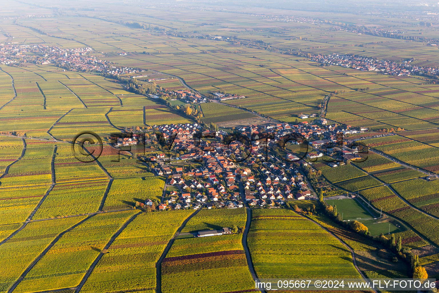 Vue aérienne de Vignobles aux couleurs d'automne à Hainfeld dans le département Rhénanie-Palatinat, Allemagne