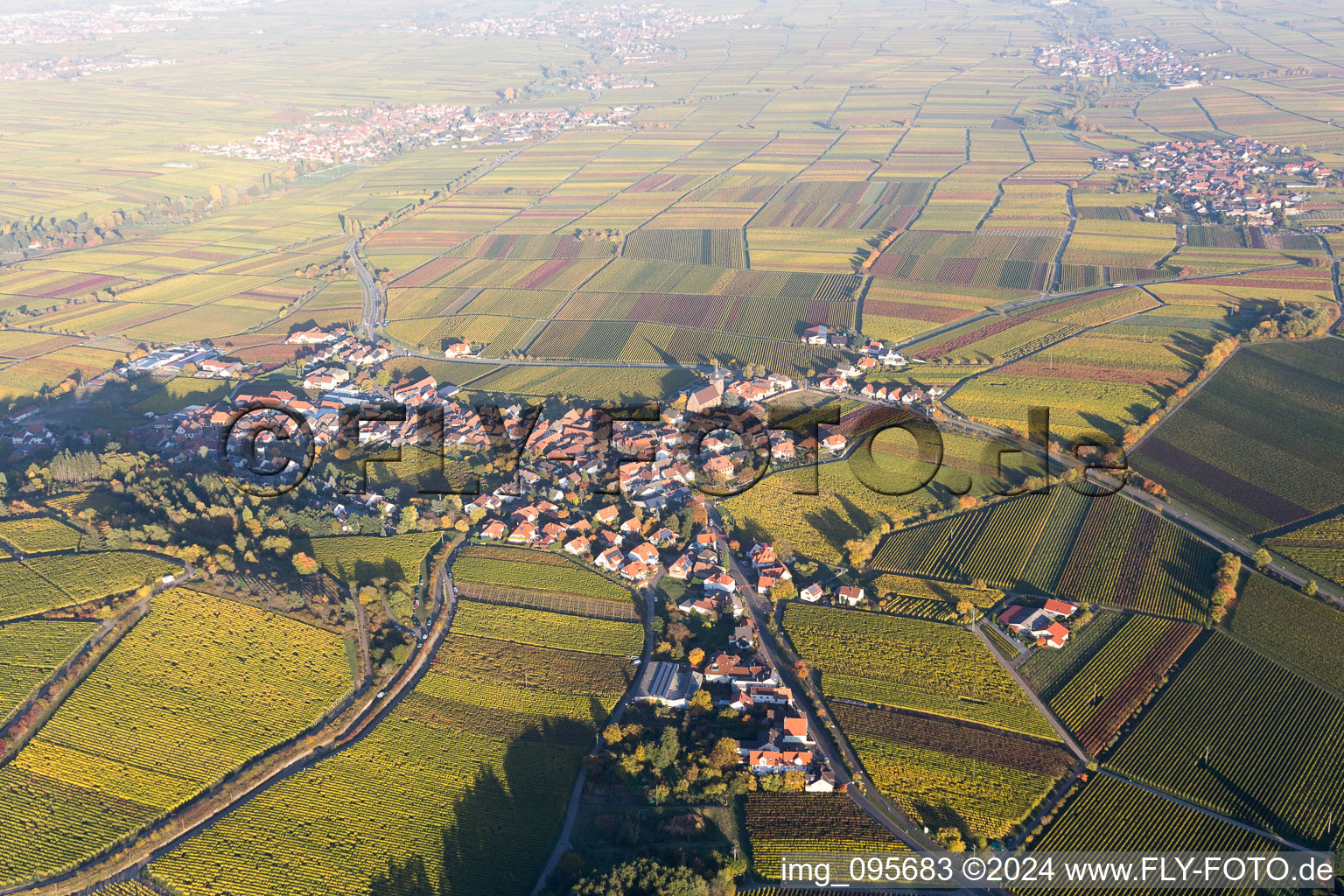 Gleisweiler dans le département Rhénanie-Palatinat, Allemagne depuis l'avion