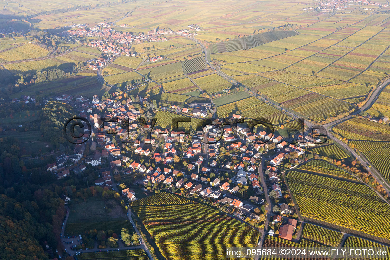 Vue d'oiseau de Gleisweiler dans le département Rhénanie-Palatinat, Allemagne