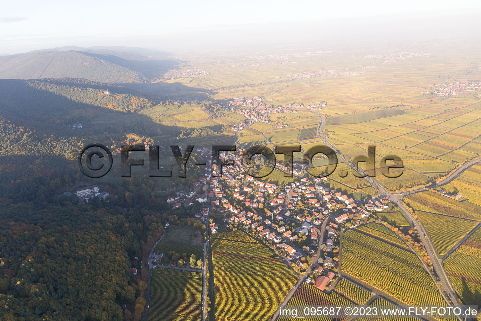 Gleisweiler dans le département Rhénanie-Palatinat, Allemagne vue du ciel