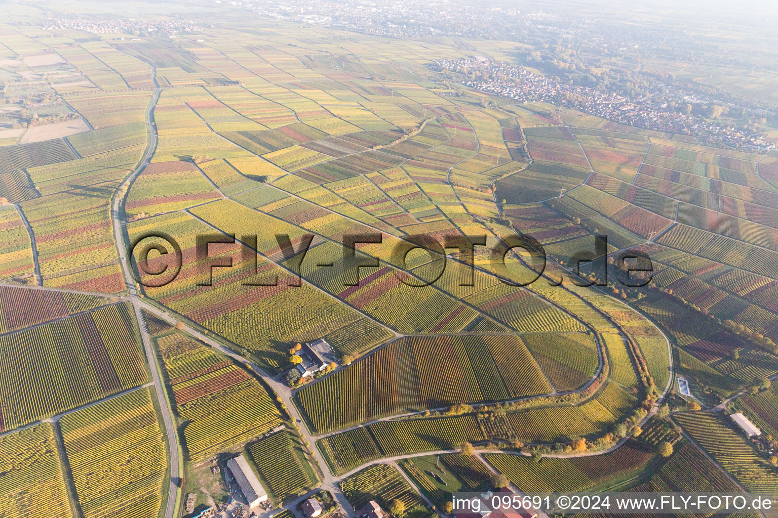 Frankweiler dans le département Rhénanie-Palatinat, Allemagne vue d'en haut