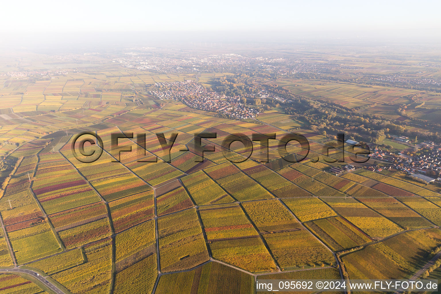 Quartier Godramstein in Landau in der Pfalz dans le département Rhénanie-Palatinat, Allemagne depuis l'avion