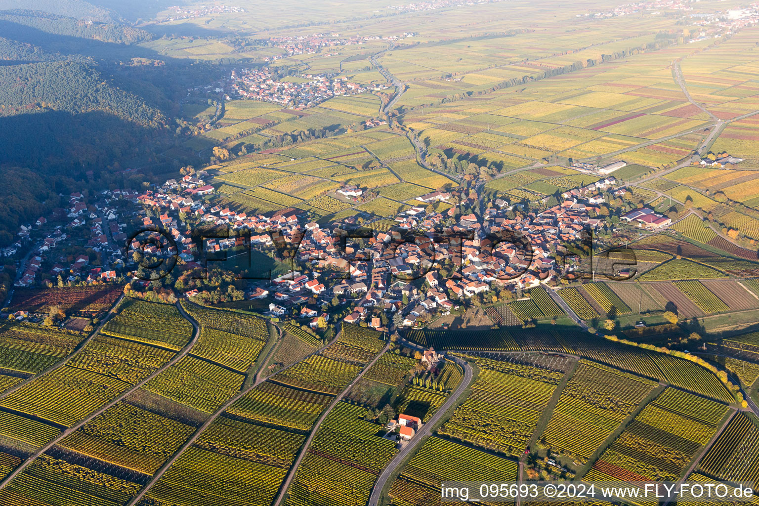 Frankweiler dans le département Rhénanie-Palatinat, Allemagne depuis l'avion