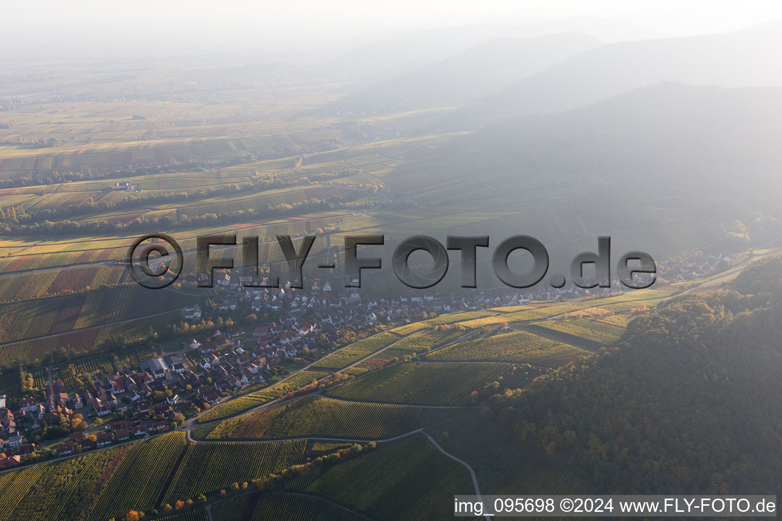 Vue aérienne de Ranschbach dans le département Rhénanie-Palatinat, Allemagne