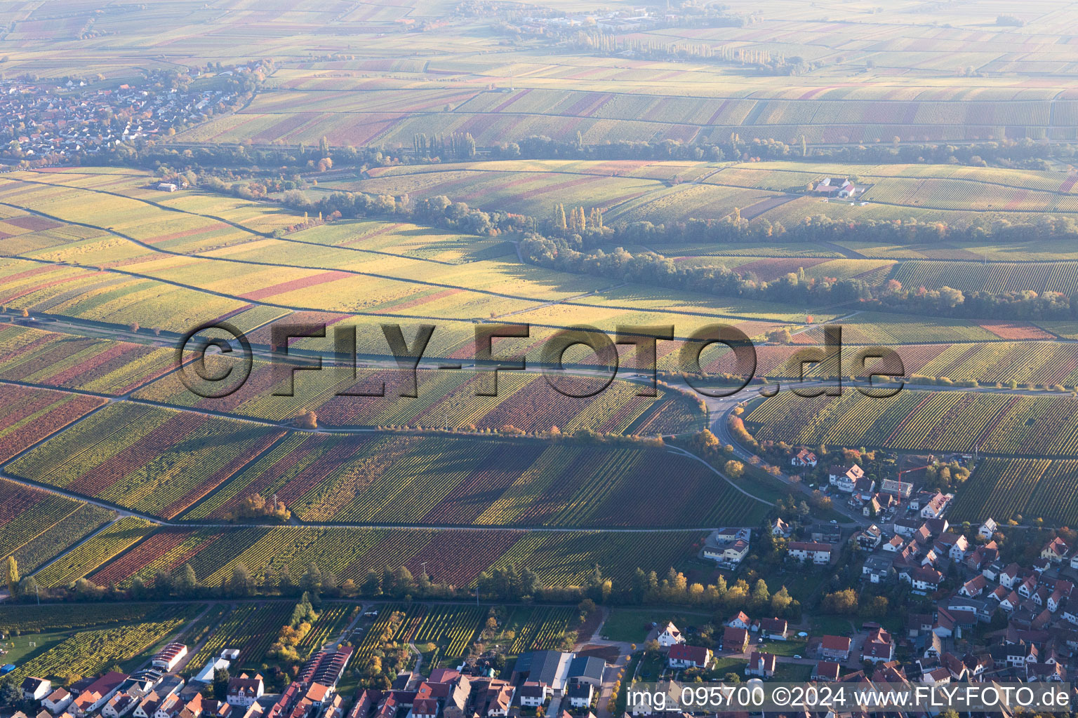 Photographie aérienne de Birkweiler dans le département Rhénanie-Palatinat, Allemagne