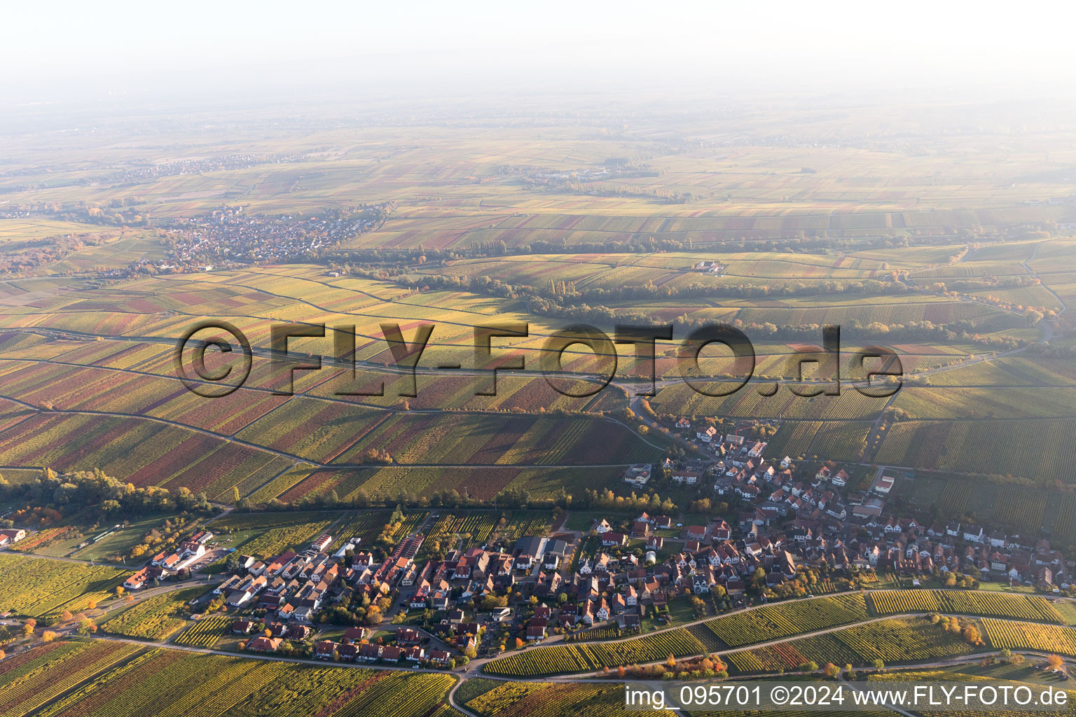 Vue oblique de Birkweiler dans le département Rhénanie-Palatinat, Allemagne