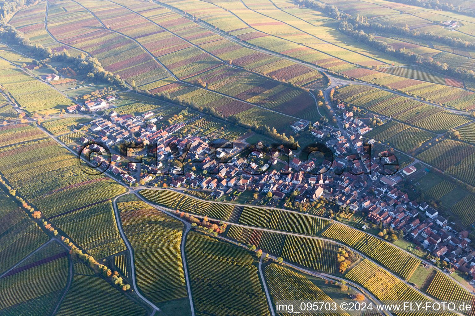 Photographie aérienne de Ranschbach dans le département Rhénanie-Palatinat, Allemagne