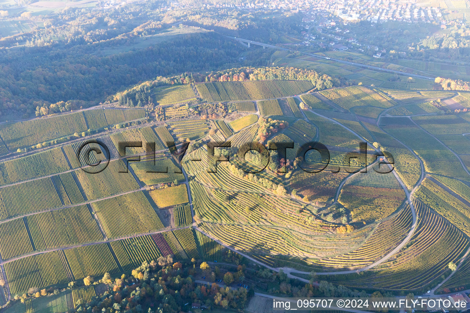 Ranschbach dans le département Rhénanie-Palatinat, Allemagne vue d'en haut