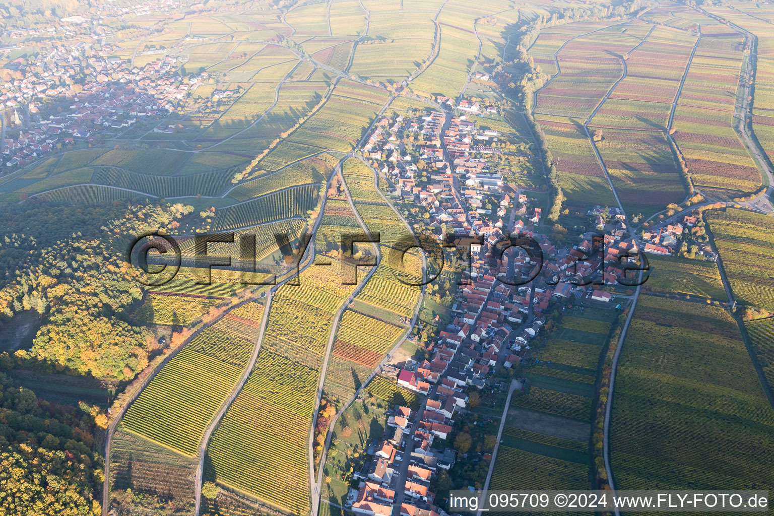 Vue d'oiseau de Ranschbach dans le département Rhénanie-Palatinat, Allemagne