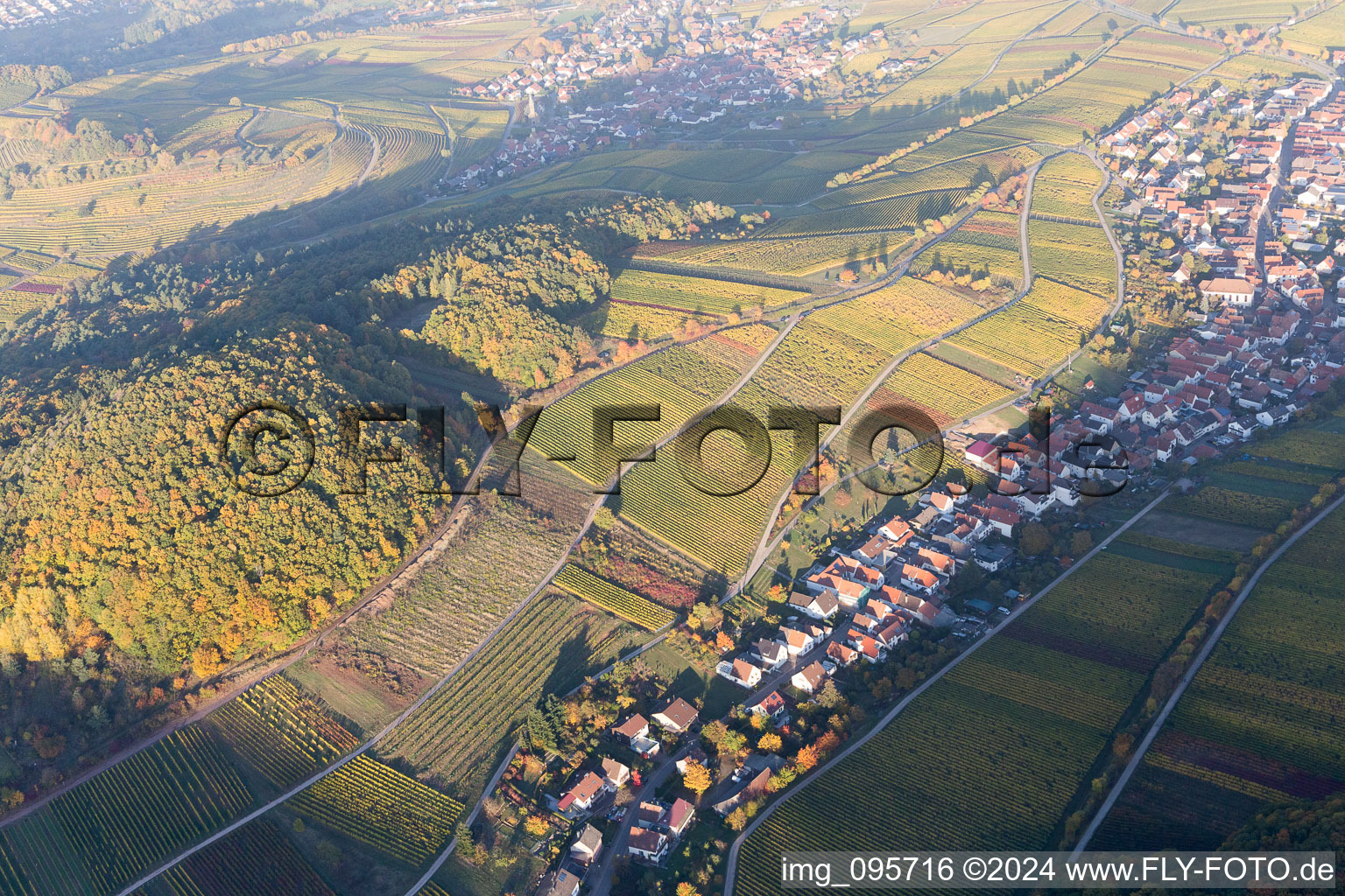 Vue aérienne de Ranschbach dans le département Rhénanie-Palatinat, Allemagne