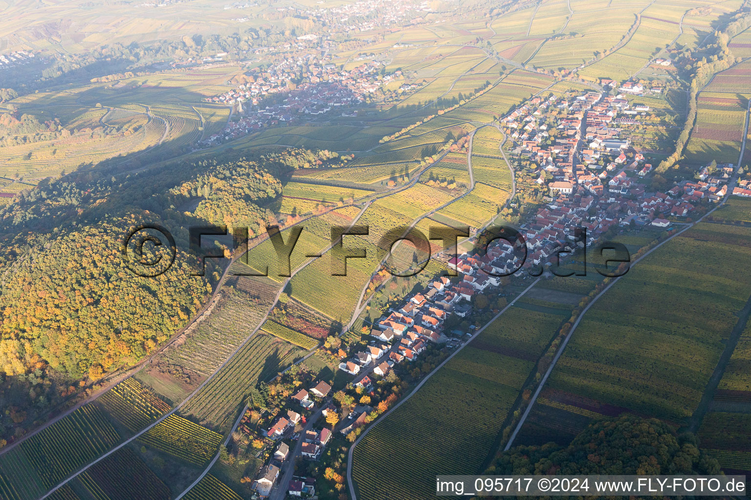 Photographie aérienne de Ranschbach dans le département Rhénanie-Palatinat, Allemagne