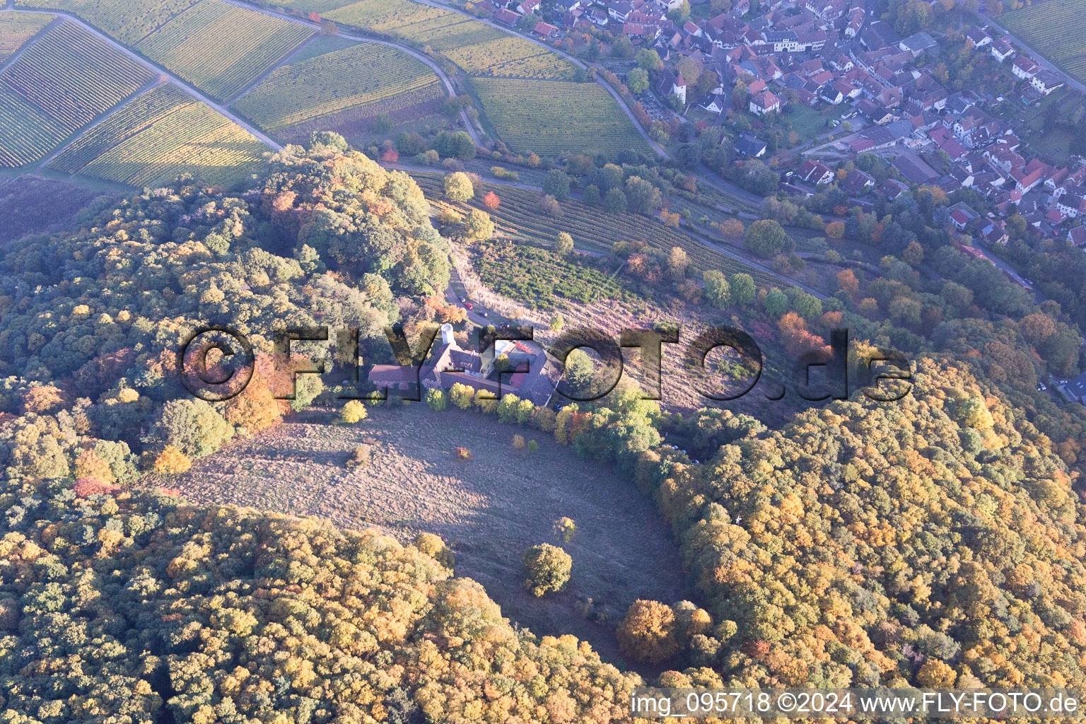 Leinsweiler dans le département Rhénanie-Palatinat, Allemagne vue du ciel