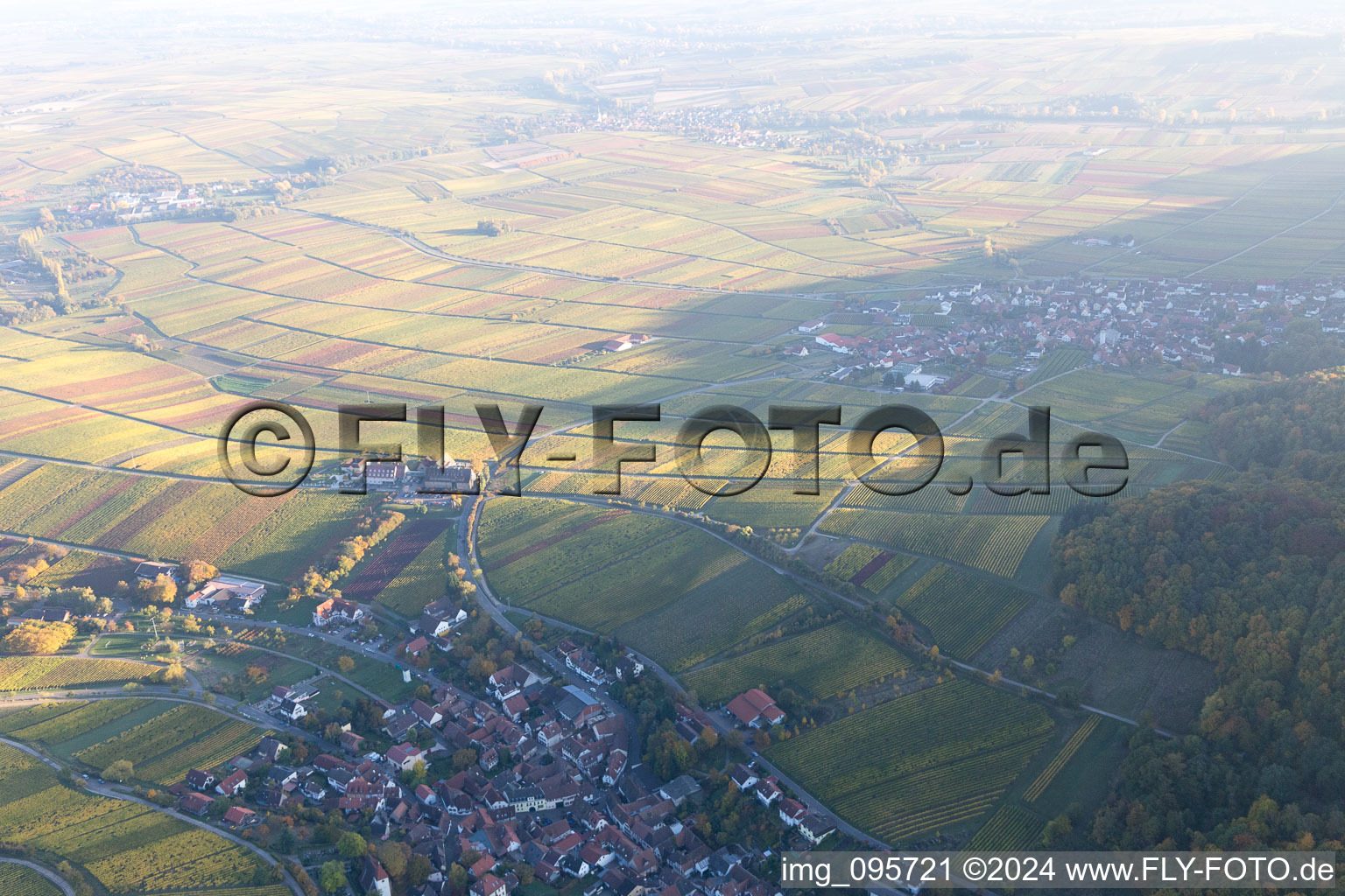 Image drone de Leinsweiler dans le département Rhénanie-Palatinat, Allemagne