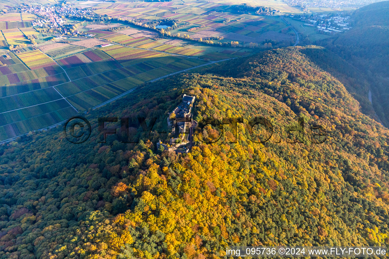 Madenbourg à Eschbach dans le département Rhénanie-Palatinat, Allemagne vue d'en haut