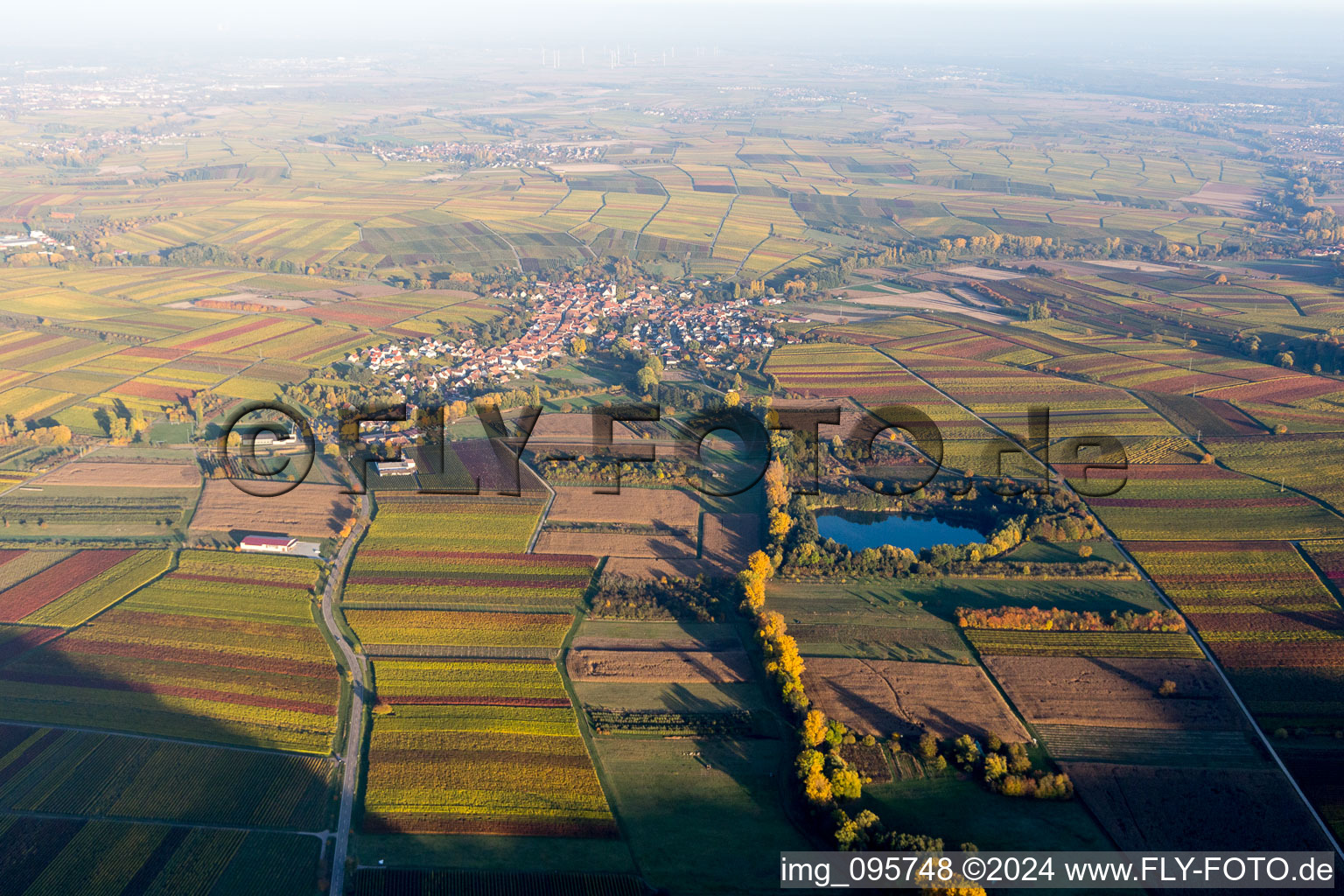 Vue aérienne de Lumière du soir d'automne au bord des champs à Göcklingen dans le département Rhénanie-Palatinat, Allemagne