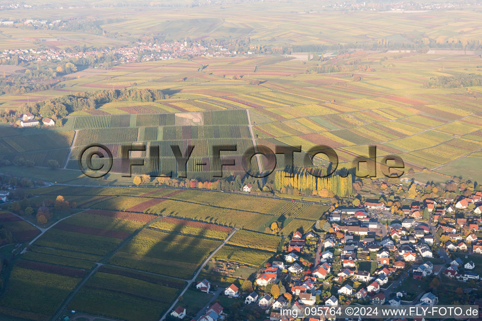 Klingenmünster dans le département Rhénanie-Palatinat, Allemagne vue du ciel