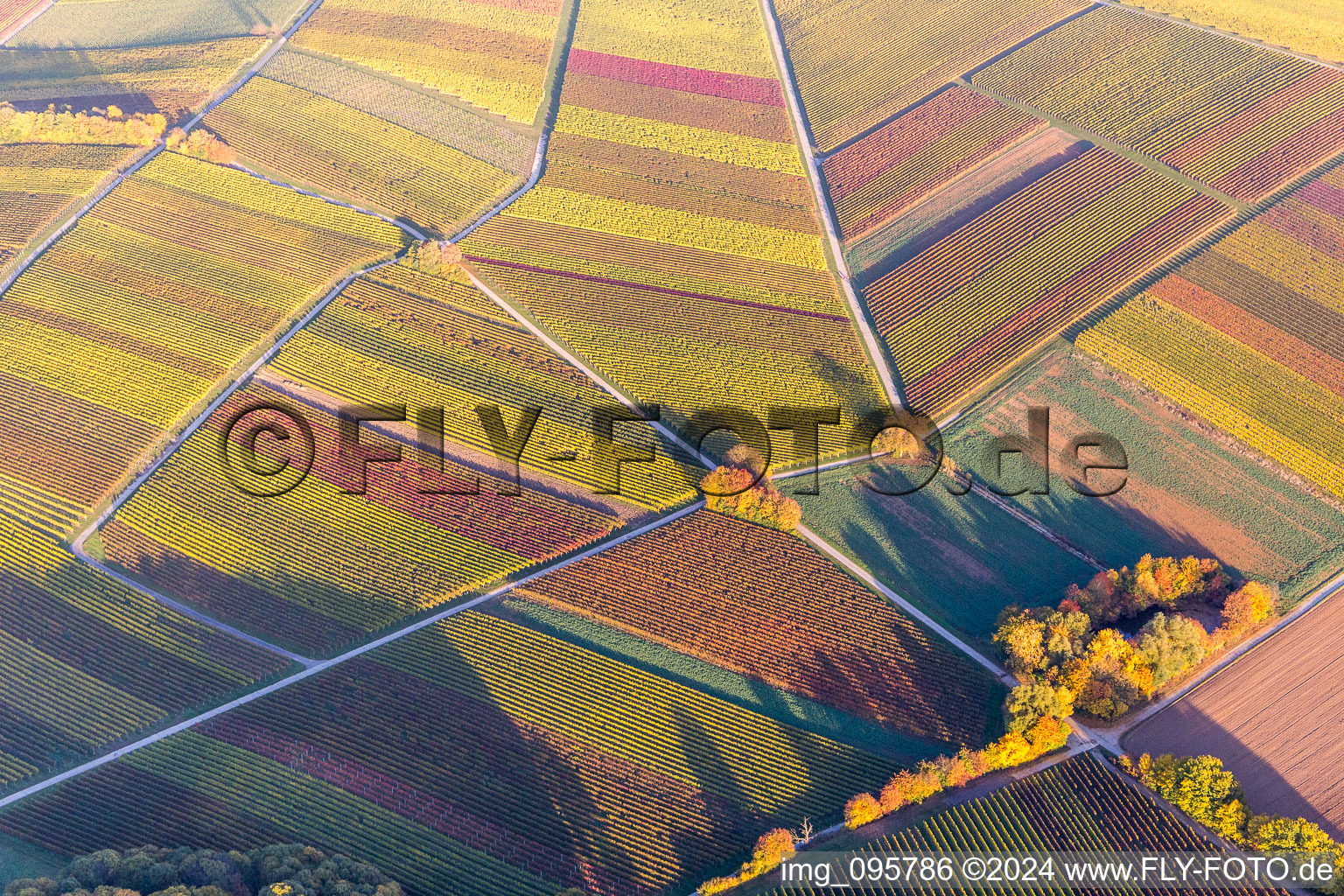 Vue aérienne de Structures du paysage viticole aux couleurs automnales des zones viticoles à le quartier Klingen in Heuchelheim-Klingen dans le département Rhénanie-Palatinat, Allemagne