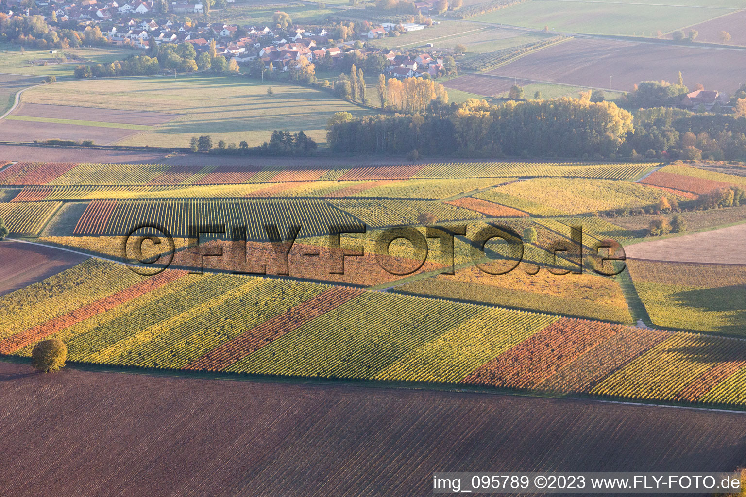 Niederhorbach dans le département Rhénanie-Palatinat, Allemagne vu d'un drone