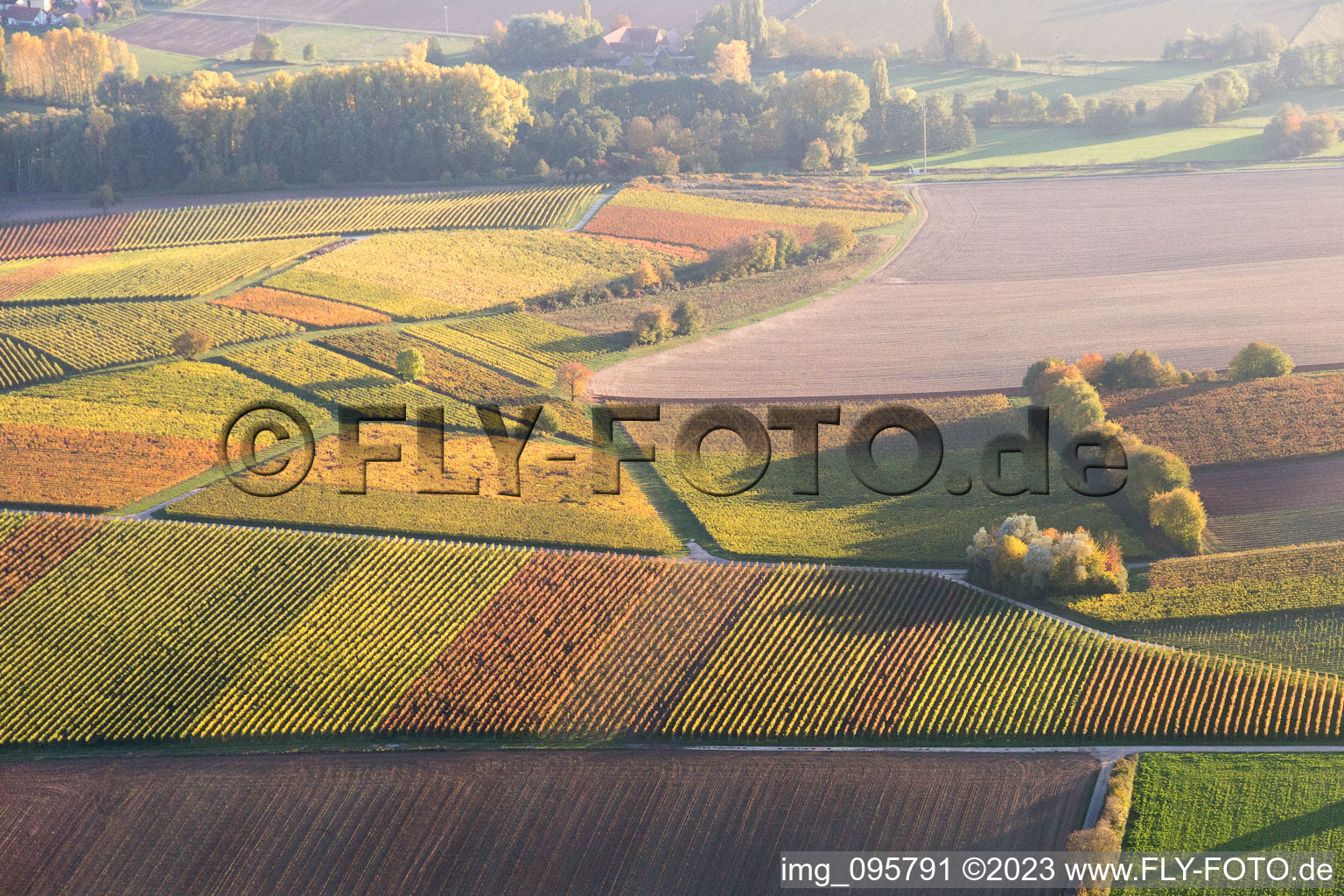 Photographie aérienne de Niederhorbach dans le département Rhénanie-Palatinat, Allemagne