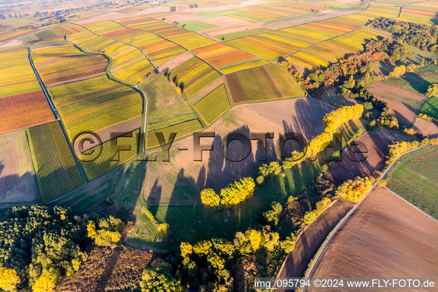 Vue aérienne de Paysage viticole dans les feuilles d'automne colorées des zones viticoles à le quartier Klingen in Heuchelheim-Klingen dans le département Rhénanie-Palatinat, Allemagne